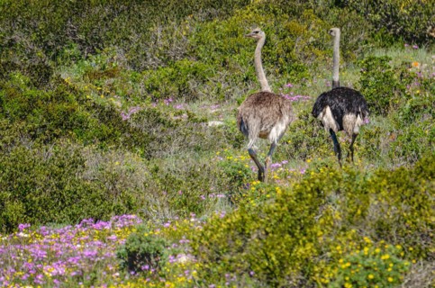 West Coast National Park