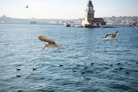 Maidens Tower located in the middle of Bosporus