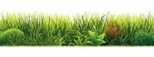 Seamless tileable row of fresh grass on a white background