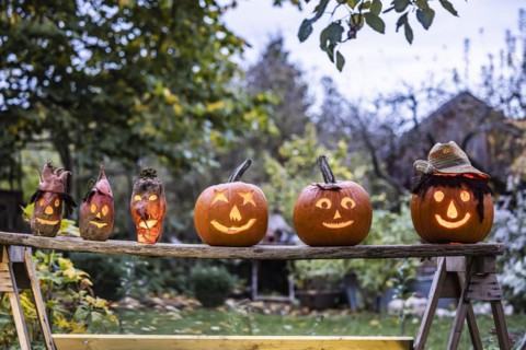 Carved pumpkins and turnip ghosts