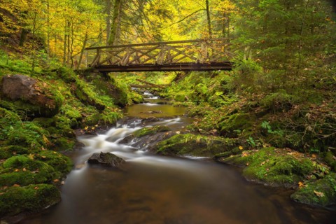 Bridge over the Ravenna stream