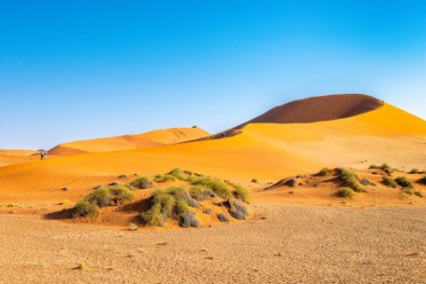 Red Sand Dunes