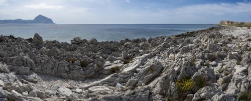 Rocks on the coast