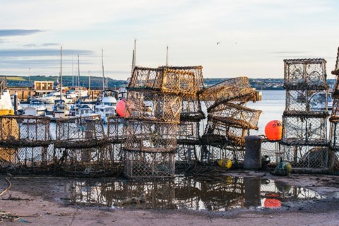 Crab cages and fishing nets