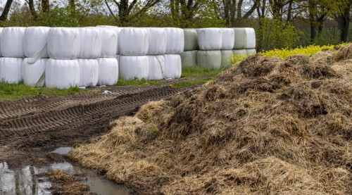 Hay bales and dung heap on an agricultural field