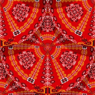 Romanian embroidery seamless pattern vector design