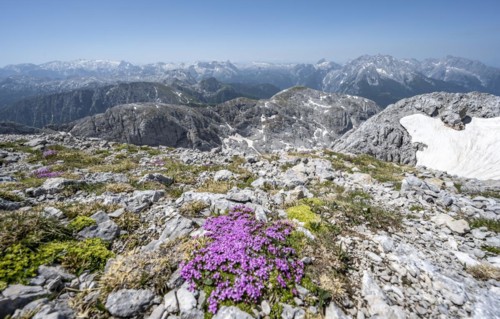 Spring in the mountains