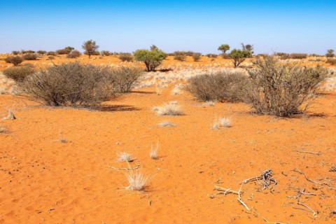 Kalahari Anib Lodge