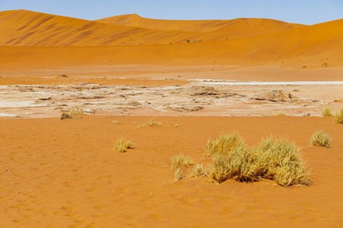 Red Sand Dunes