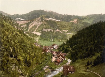 View into the valley of Triberg
