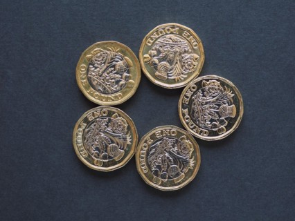 1 pound coin