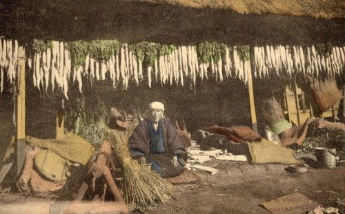 Agriculture