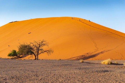 Red sand dunes