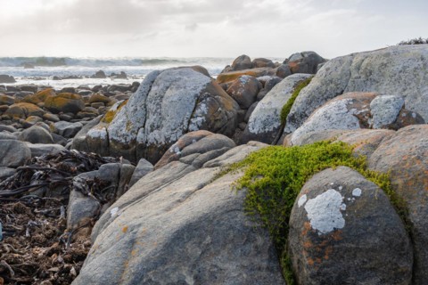 Mauritzbaai