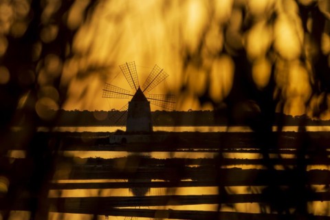 Windmill at sunset