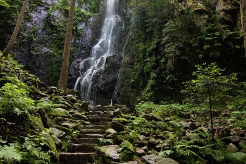 Landscape shot of the Burgbach waterfall