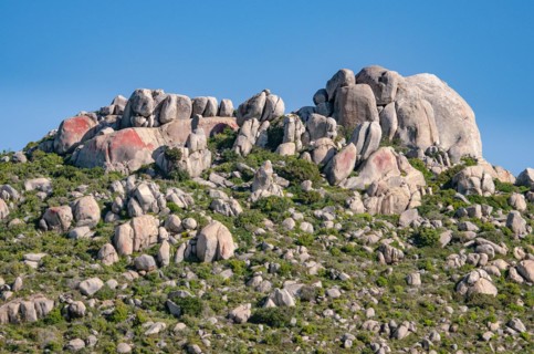 Postberg Section