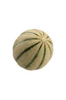 Cantaloupe melon or Charentais melon