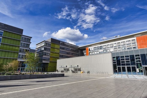 Konrad Adenauer Complex