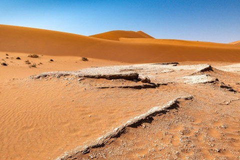 Red Sand Dunes