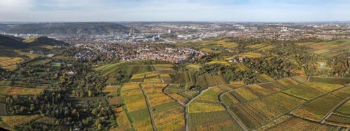 Vineyards in the area of the districts of Rotenberg and Untertuerkheim