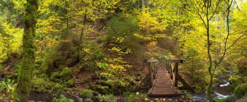 Bridge over the Ravenna stream