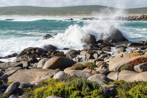 Plankiesbaai
