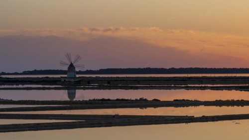 Windmill at sunset