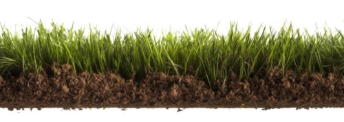 Seamless tileable row of fresh grass and soil on a white background