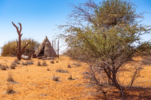 Kalahari