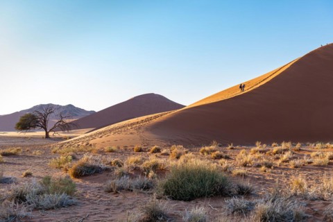 Red sand dunes