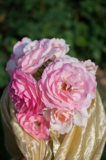 Blooming beautiful bunch of roses in spring garden