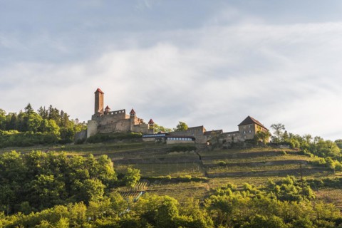 Hornberg Castle in the Neckar Valley