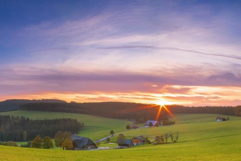 Black Forest landscape