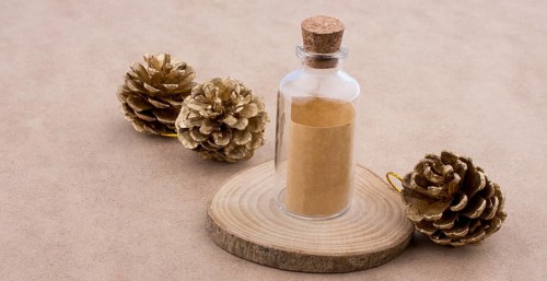 Pine cones and a bottle on a piece of cut wood on a light brown background