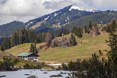 Alpe Dinjoergen