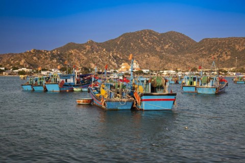 Fishing boats in the harbor of Phan Rang