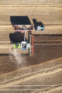 Grain harvest is about to be completed
