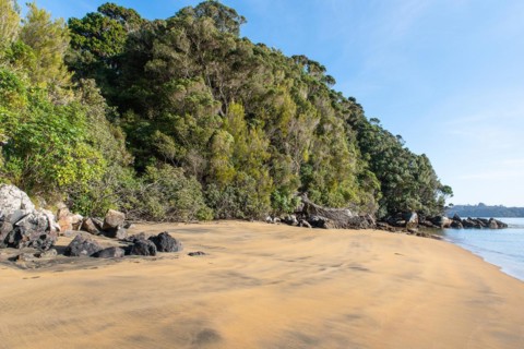 Sydney Cove