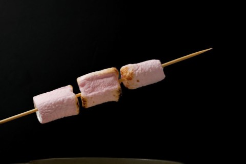 Roasted marshmallows on a skewer isolated on black background and copy space