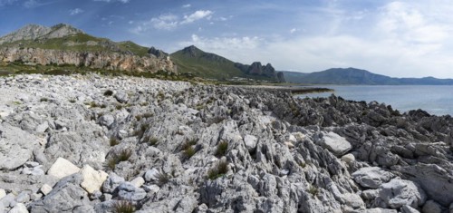 Rocks on the coast
