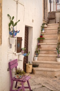 Stairs with flower pots in the old town of Locorotondo