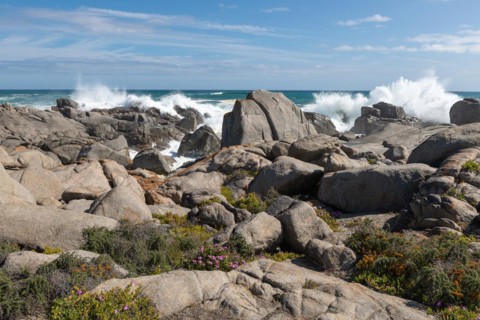 Plankiesbaai