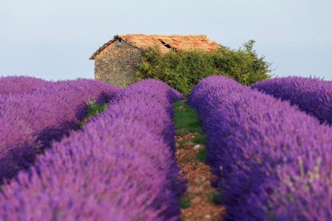 France
