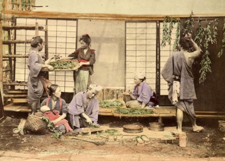 Agriculture