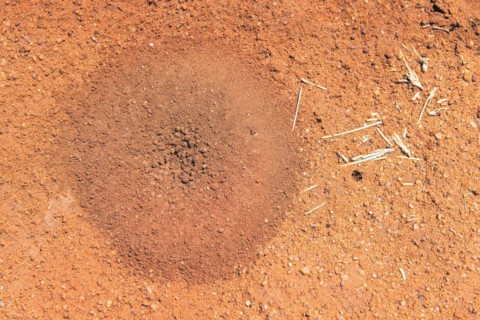 Kalahari Anib Lodge