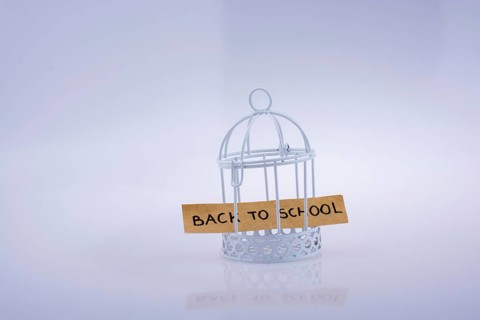 Little note about school placed in a white color bird house with metal bars