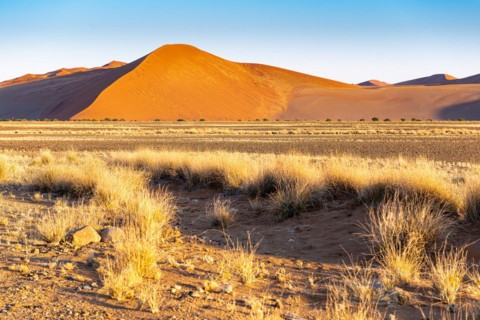 Red Sand Dunes