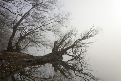 Foggy atmosphere at Lake Moehne