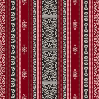 Traditional Tunisian embroidery pattern